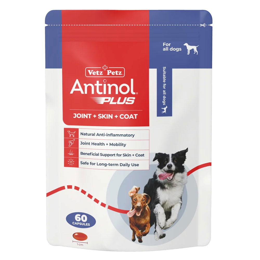 Antinol Plus Capsules For Dogs for Dog