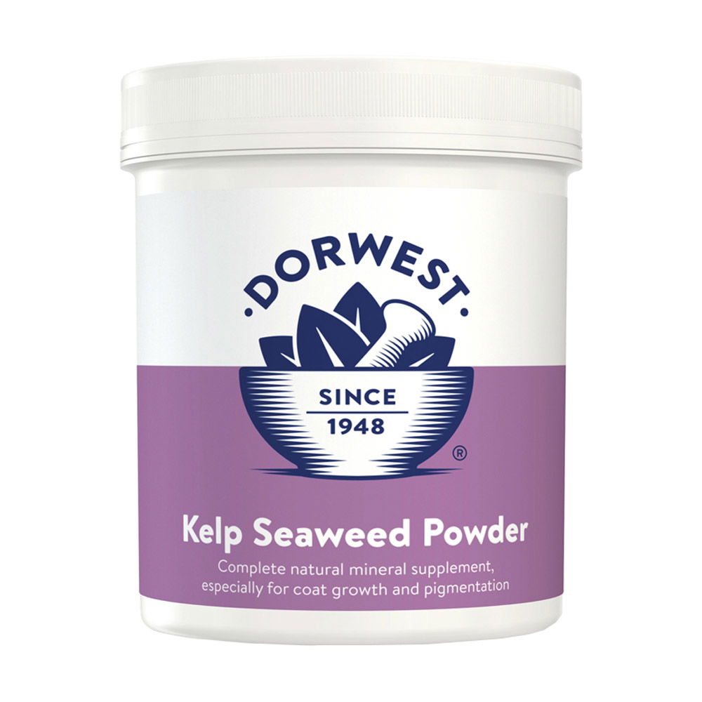 Dorwest Kelp Seaweed Powder for Supplements
