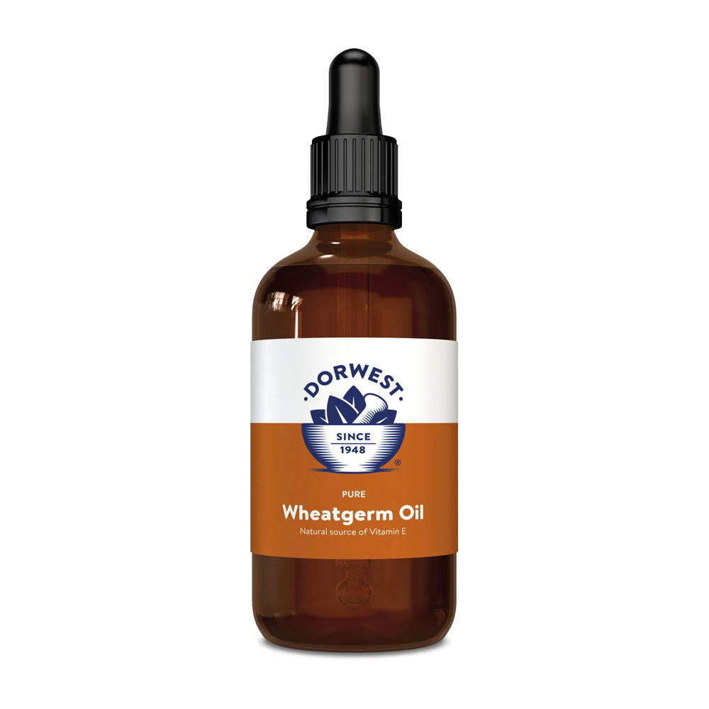 Dorwest Wheatgerm Oil Liquid for Homeopathic