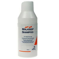 Malaseb Shampoo for Cat