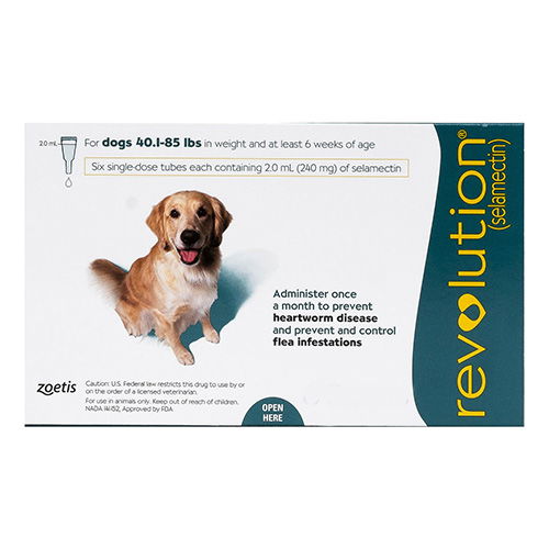 Revolution for Large Dogs, Green, 20.1 - 40 Kg (40.1-85lbs)