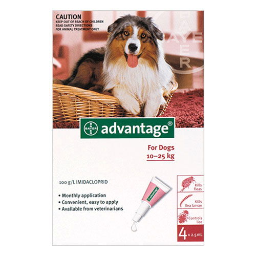 Advantage for Large Dogs, Red, 10 - 25 Kg (21-55lbs)