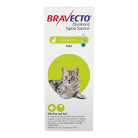 Bravecto Spot-On for Cat