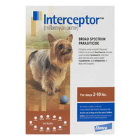 Interceptor for Dog