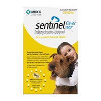 Sentinel for Dogs, Yellow, 11.1 - 22 Kg (26-50lbs)