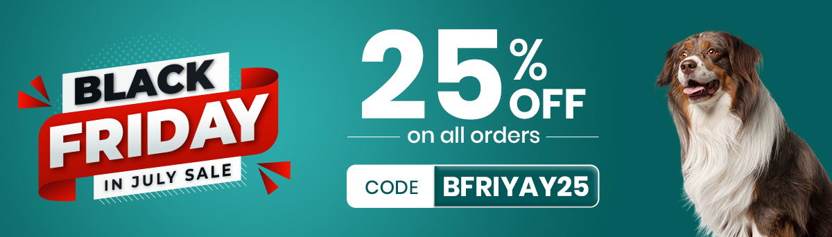 Summer Season Sale 25% Discount