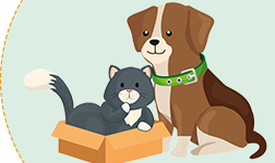 Buy Pet Supplies Online  Dog and Cat Care Products – Downtown Pet